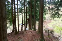 21年 笹子峠の矢立の杉 行く前に 見どころをチェック トリップアドバイザー 21年 笹子峠の矢立の杉 行く前に 見どころをチェック トリップアドバイザー