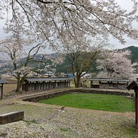 池には草が繁茂していた