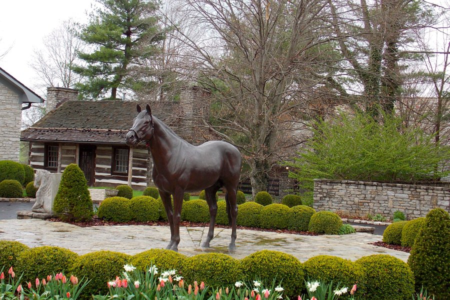 coolmore america tours
