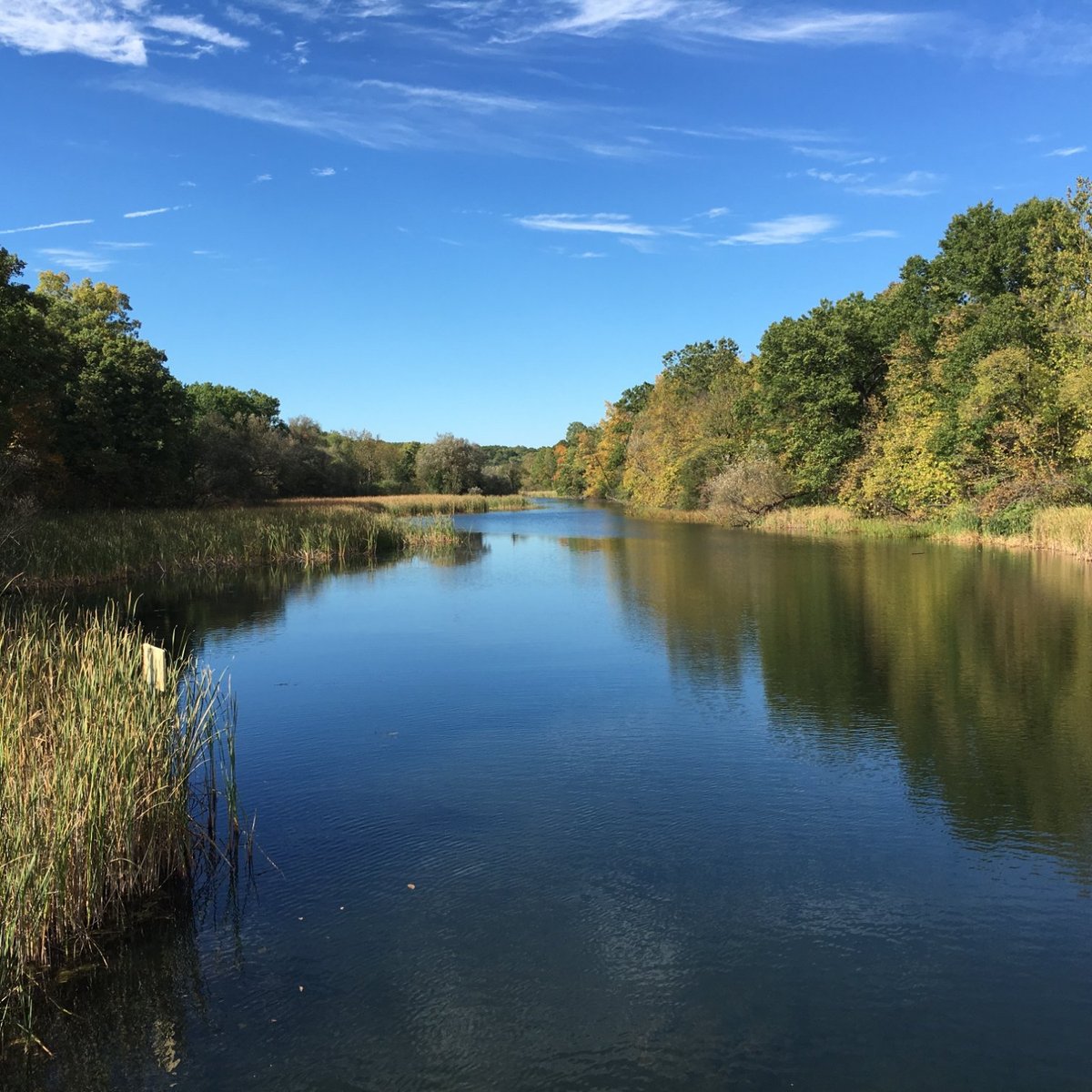 KENSINGTON METROPARK (2024) All You Need to Know BEFORE You Go (with ...