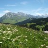 Things To Do in Aravis Parc D'Aventures, Restaurants in Aravis Parc D'Aventures