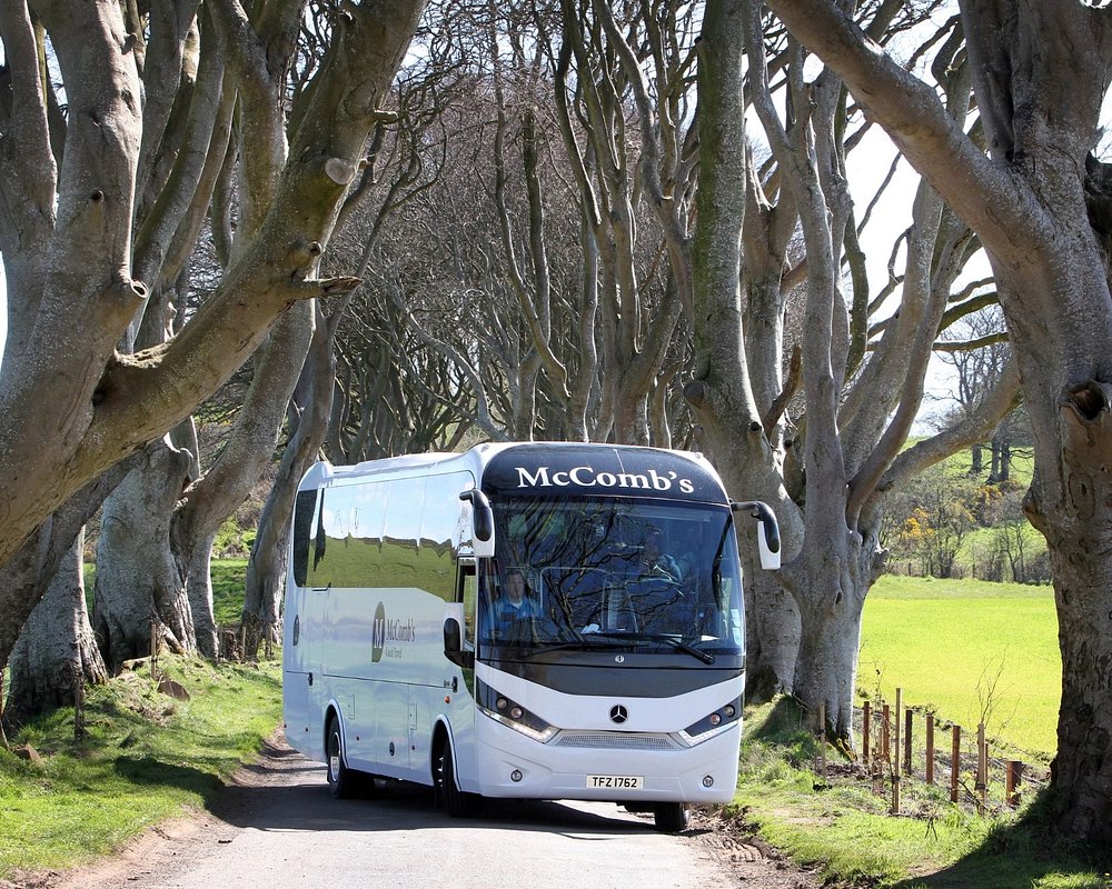 northern ireland bus tours