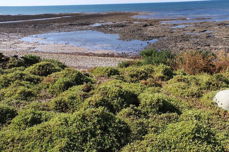 Lillico Beach Conservation Area image