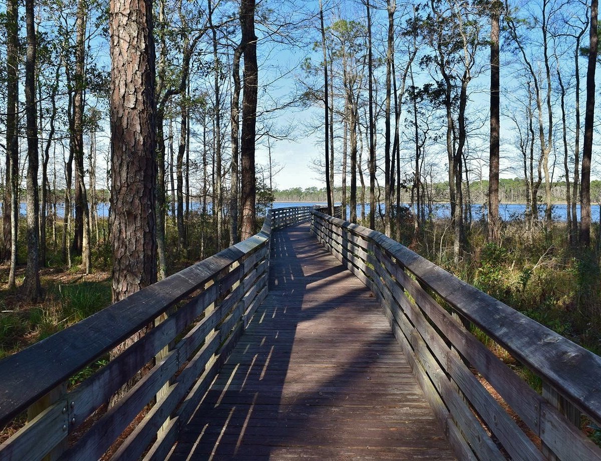 Tarkiln Bayou Preserve State Park - All You Must Know Before You Go (2024)