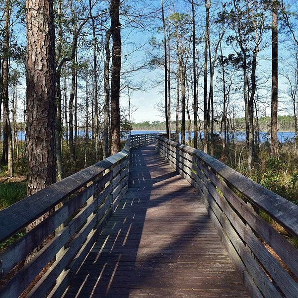 Bayou Marcus Birding Trail (Pensacola): All You Need to Know