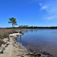 Tarkiln Bayou Preserve State Park - All You Need to Know BEFORE You Go ...