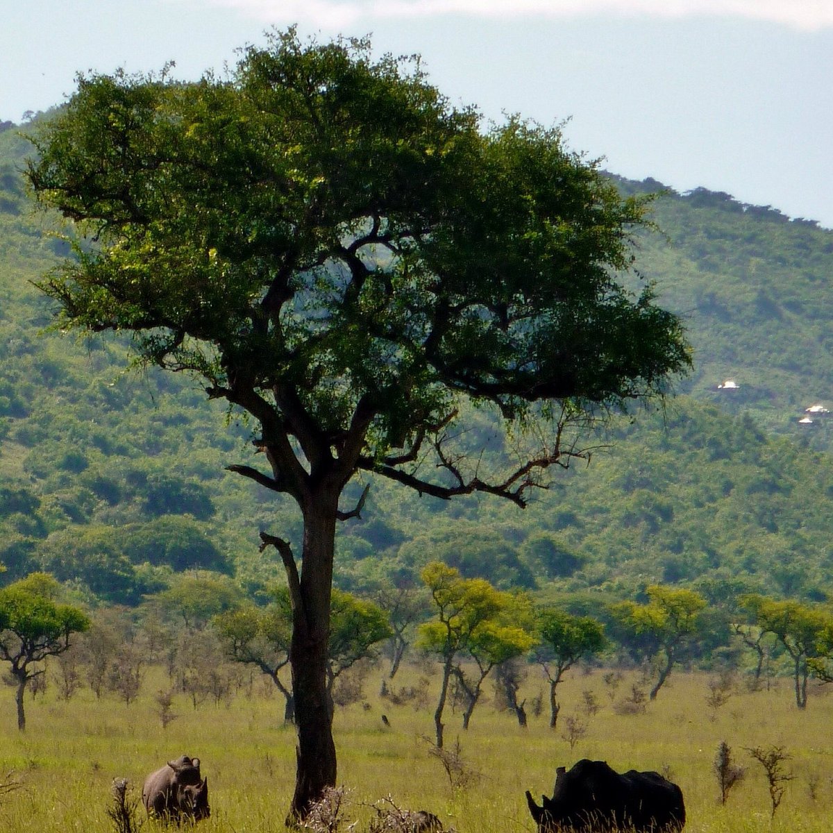 10 лучших отелей и гостиниц Homa Bay в 2024 году - Tripadvisor