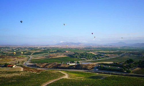 Temecula Valley Vineyards and Hot Air Balloons