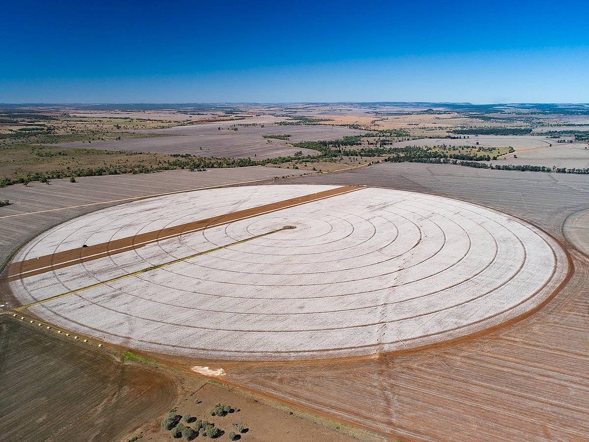 goondiwindi cotton tour