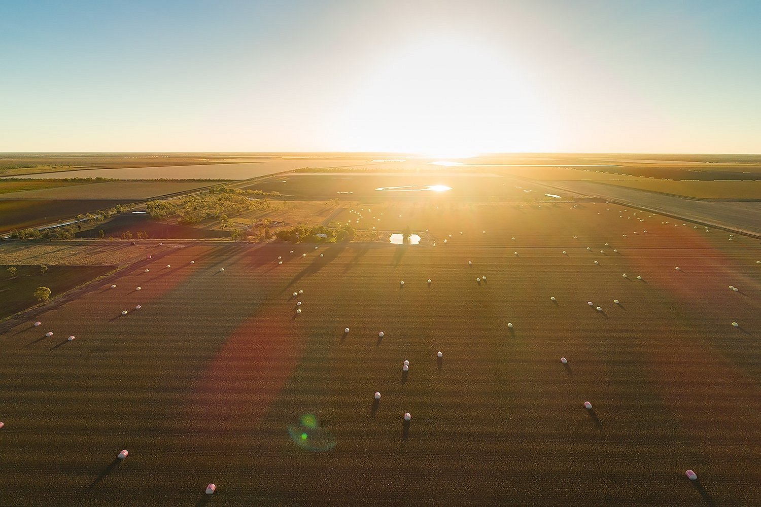 goondiwindi cotton tour