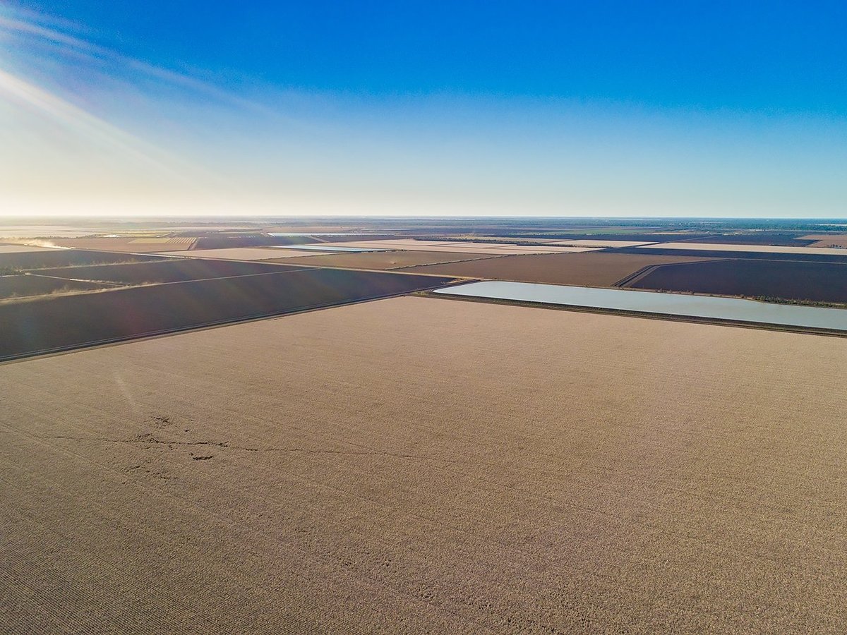 Goondiwindi Cotton All You Need to Know BEFORE You Go