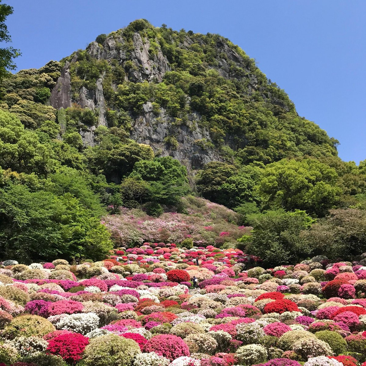 21年 御船山楽園 行く前に 見どころをチェック トリップアドバイザー