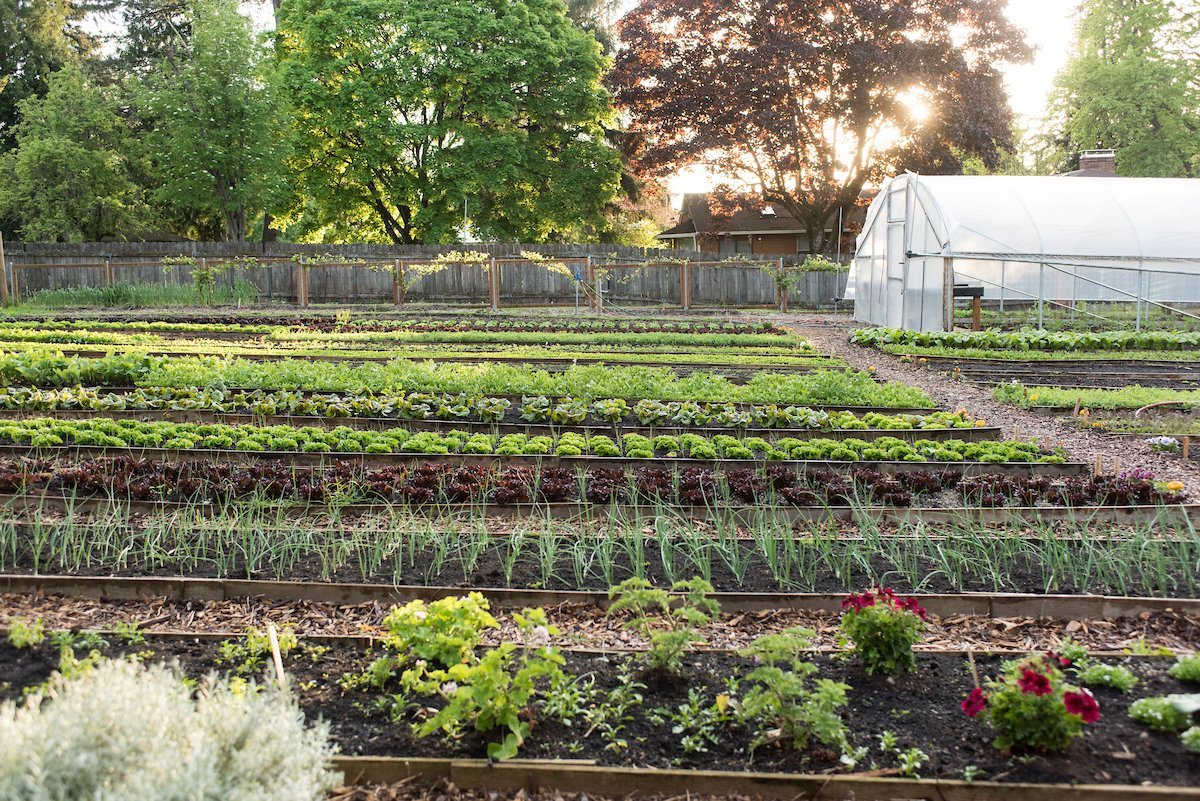 White Rabbit Farm Tours (Portland, OR): Address, Phone Number - Tripadvisor