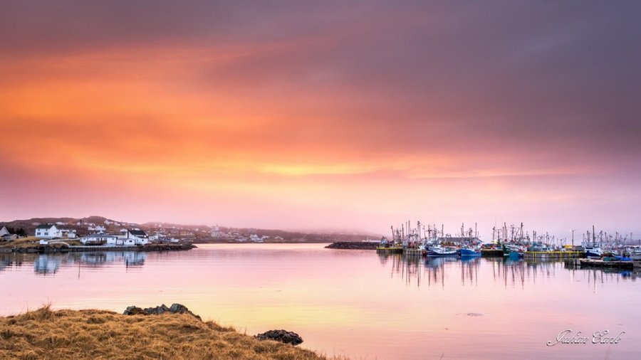 Harbour View