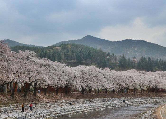 Chungju, South Korea 2023: Best Places to Visit - Tripadvisor