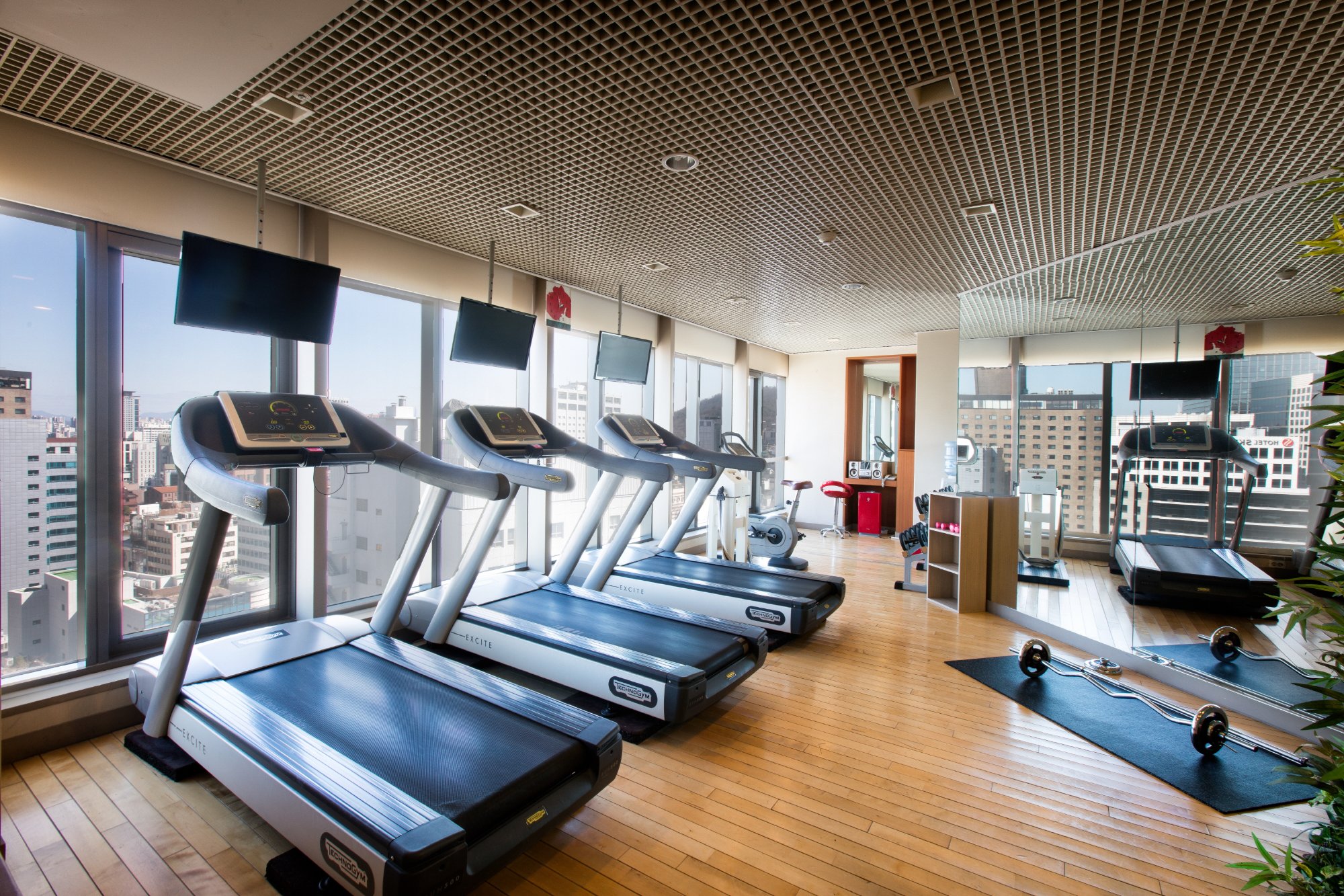 Hotel photo 89 of Ibis Ambassador Seoul Myeongdong.