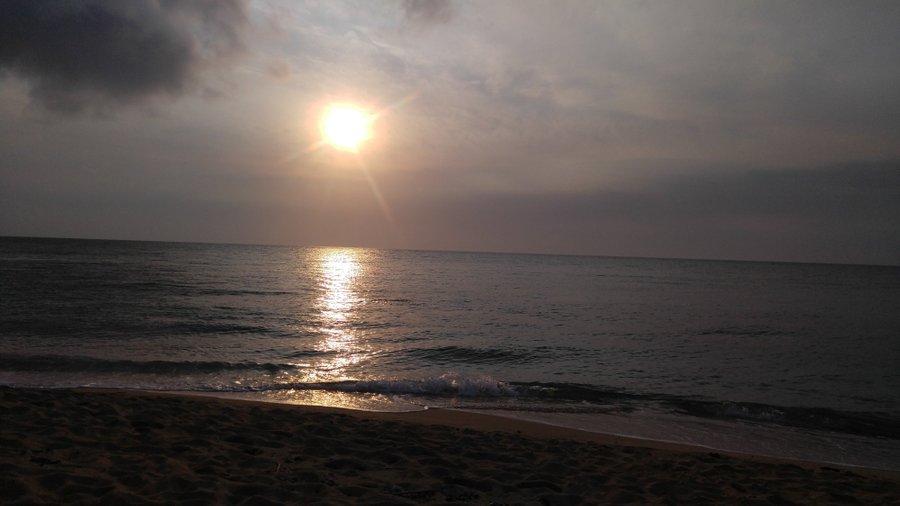 view