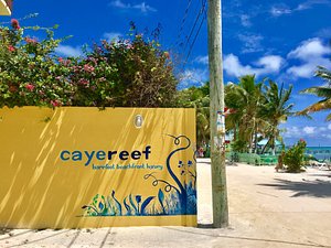 CayeReef in Caye Caulker, image may contain: Potted Plant, Summer, Villa, Planter