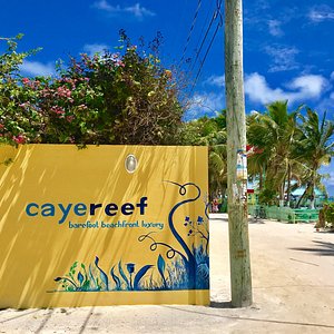 CayeReef in Caye Caulker, image may contain: Potted Plant, Summer, Villa, Planter
