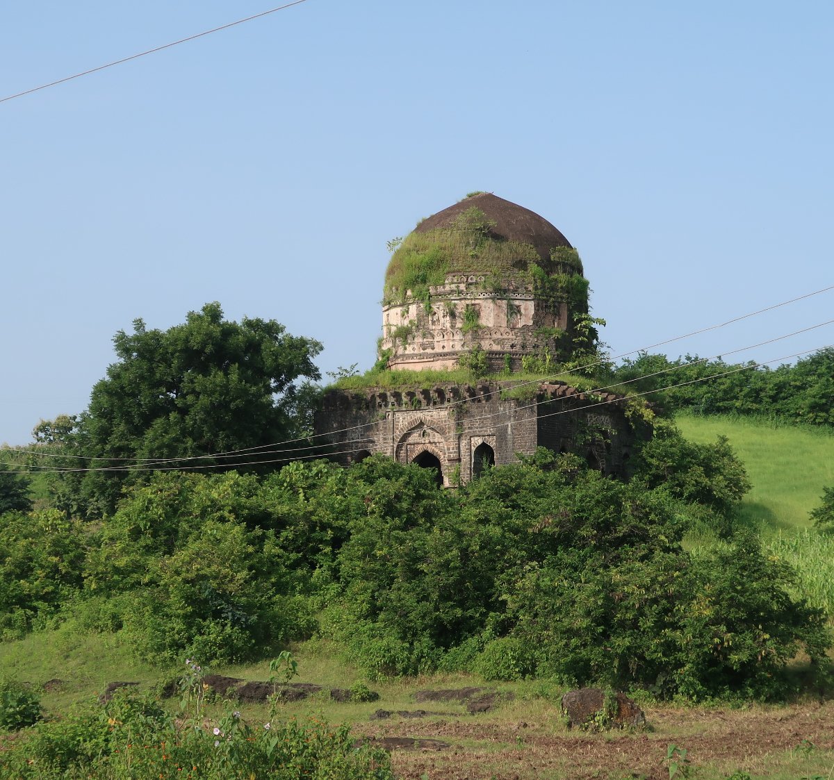 jali-mahal-mandu-jali-mahal-yorumlar-tripadvisor