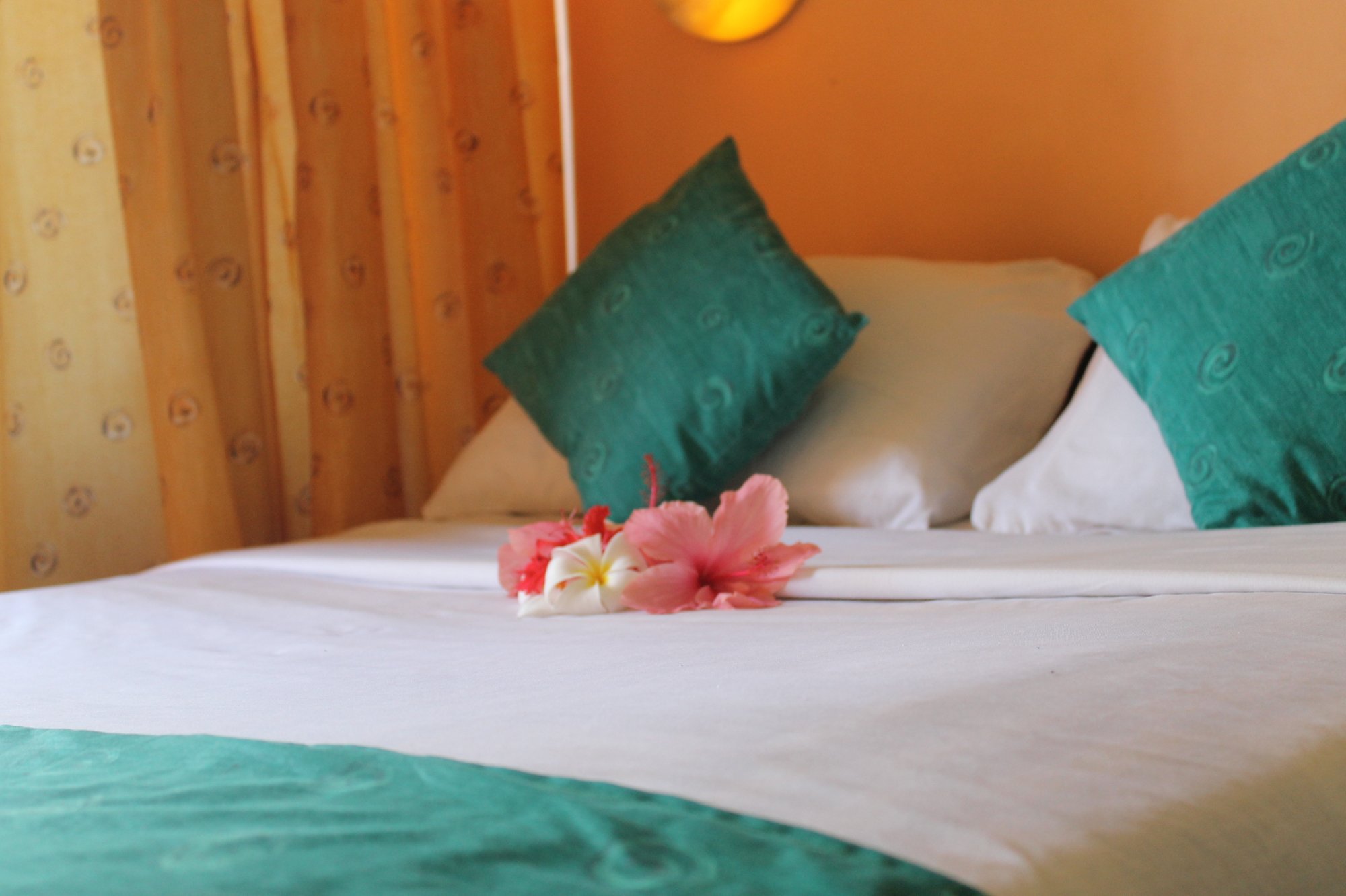 Hotel photo 6 of Sun N Sand Beach Resort.
