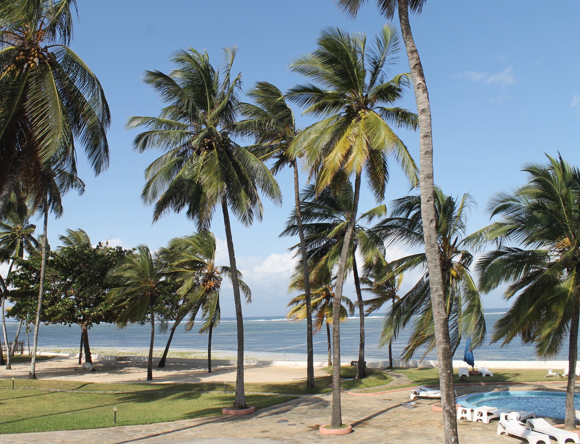 Hotel photo 1 of Sun N Sand Beach Resort.