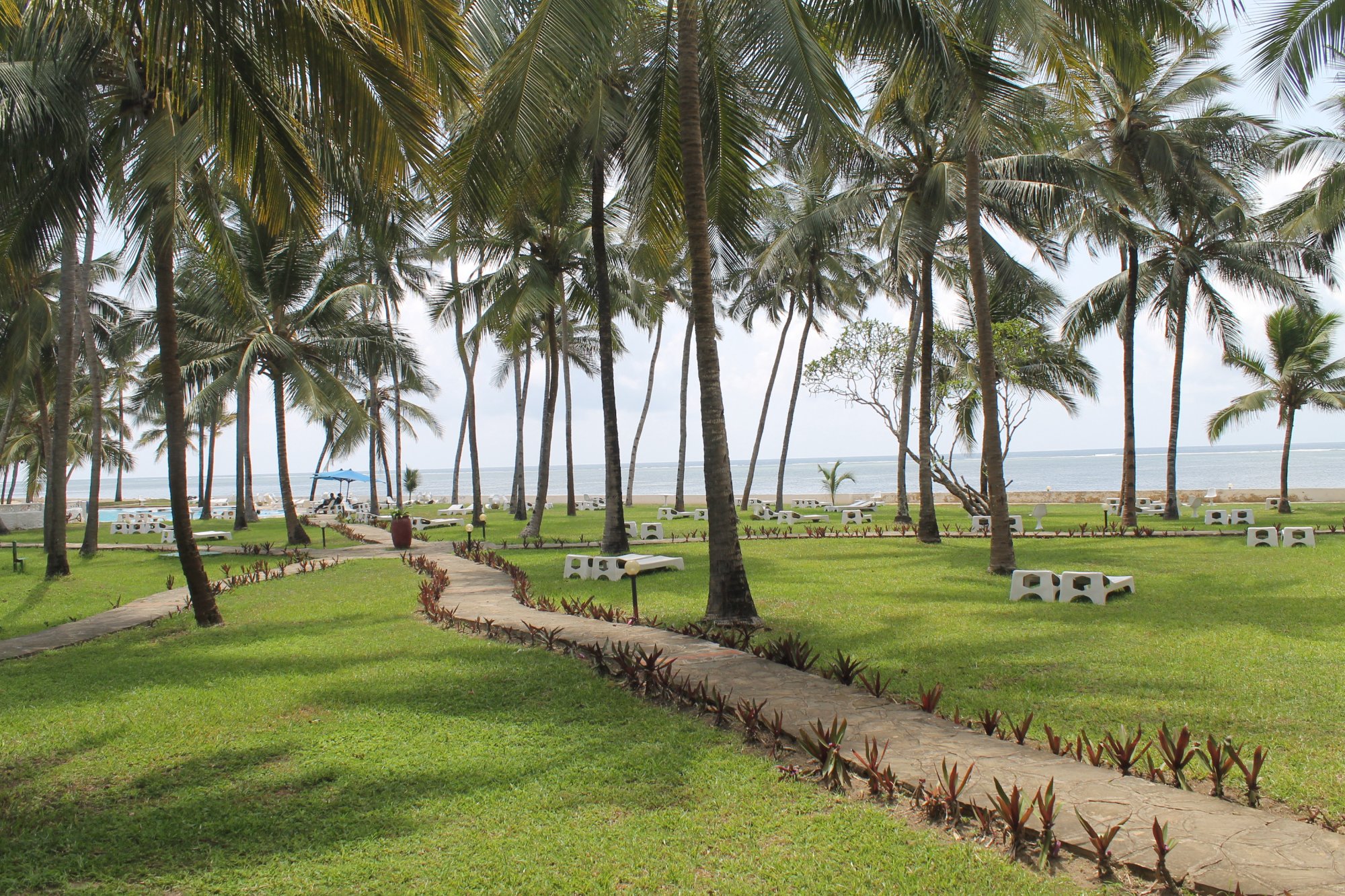 Hotel photo 8 of Sun N Sand Beach Resort.