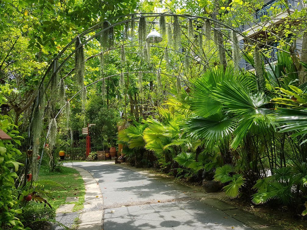 Garden phuket. Пхукет ботаник Гарден. Ботанический сад на Пхукете (Phuket Botanic Garden). Мастер Джа Ботанический сад Тай рай. Где находится Ботанический сад 2018 смотреть.