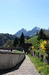 Europe, Switzerland, Freiburg, gruyere cheese, Les Grands-Chemins, church,  Église Saint Théodule, architecture, trees, buildings, historically, scener  Stock Photo - Alamy