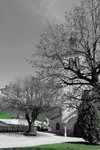 Europe, Switzerland, Freiburg, gruyere cheese, Les Grands-Chemins, church,  Église Saint Théodule, architecture, trees, buildings, historically, scener  Stock Photo - Alamy