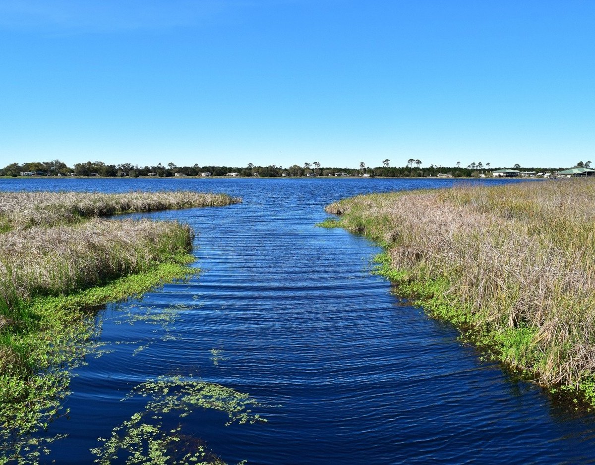 Orange Beach, AL: All You Must Know Before You Go (2024) - Tripadvisor