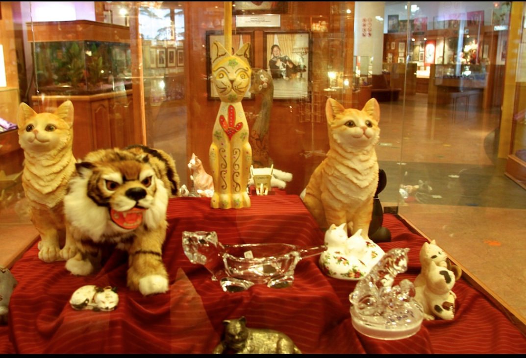 Кошка в музее