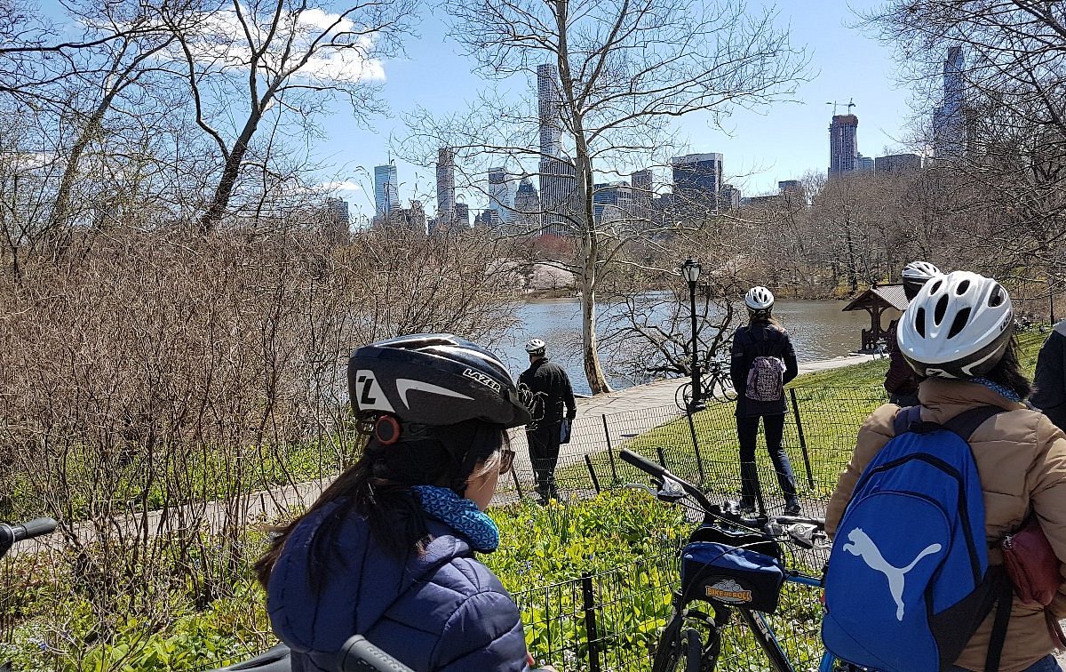 roy's brooklyn bikes