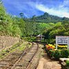 Things To Do in Fairy Tale of Upper Hills- Sigiriya, Kandy, Ella (6 Days), Restaurants in Fairy Tale of Upper Hills- Sigiriya, Kandy, Ella (6 Days)