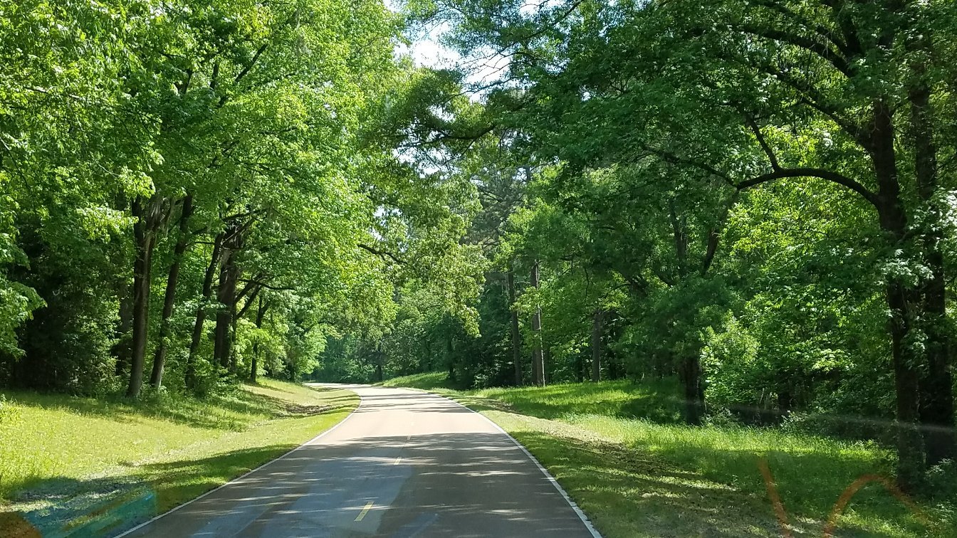 THE NATCHEZ TRACE PARKWAY All You Need To Know BEFORE You Go   Beautiful Road Peaceful 