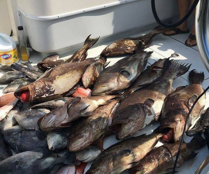 Oak Island Fishing Charters - All You Need to Know BEFORE You Go