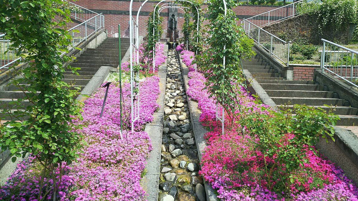 22年 半田山植物園 行く前に 見どころをチェック トリップアドバイザー