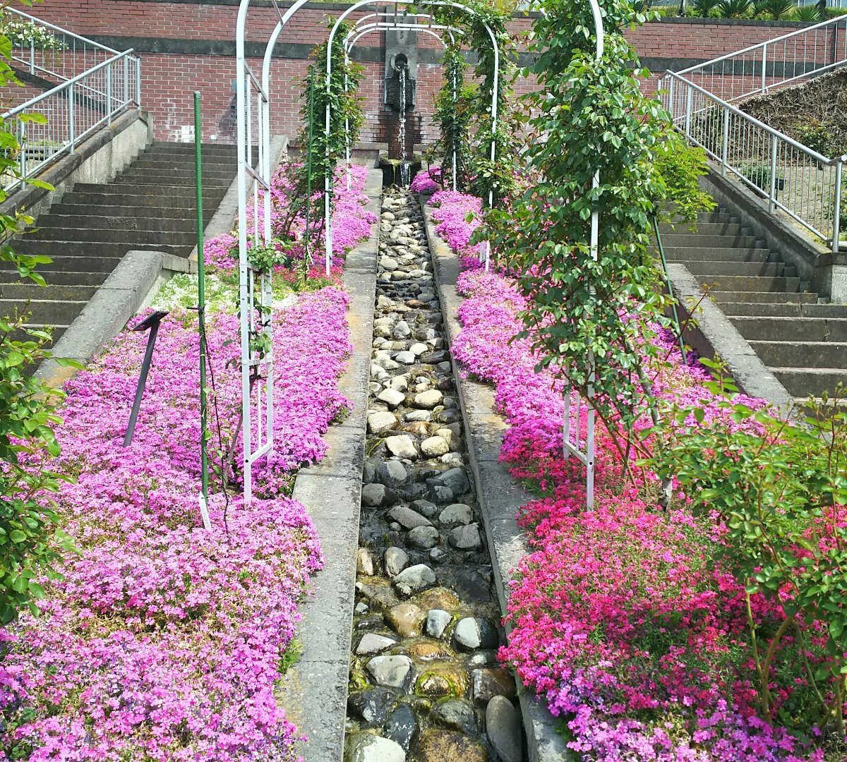 22年 半田山植物園 行く前に 見どころをチェック トリップアドバイザー