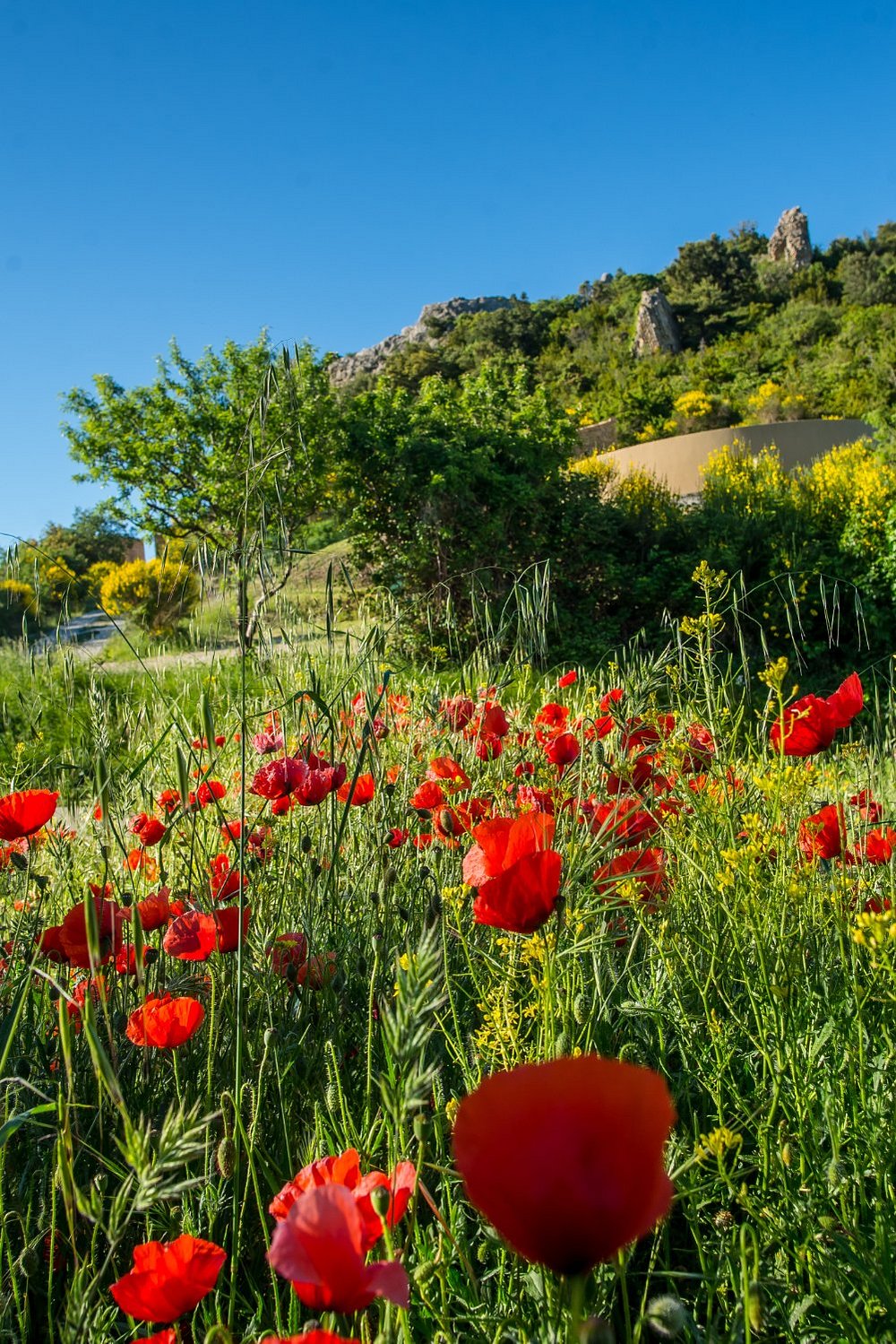 LOGIS HOTEL PLANTEVIN (Propiac) - отзывы, фото и сравнение цен - Tripadvisor