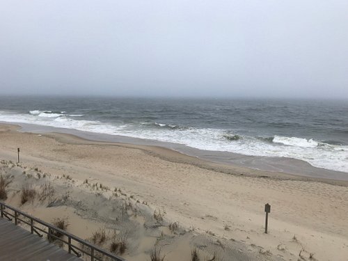 are dogs allowed on bethany beach all year