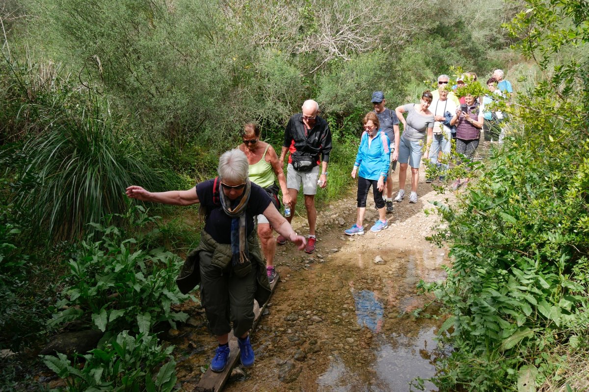 Torrent De Santa Ponca Trail, Санта-Понза: лучшие советы перед посещением -  Tripadvisor