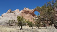 Window Rock Navajo Tribal Park - All You Need to Know BEFORE You Go