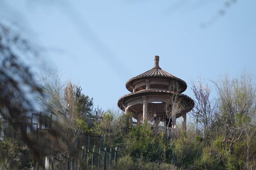Urumqi petersjsim review images