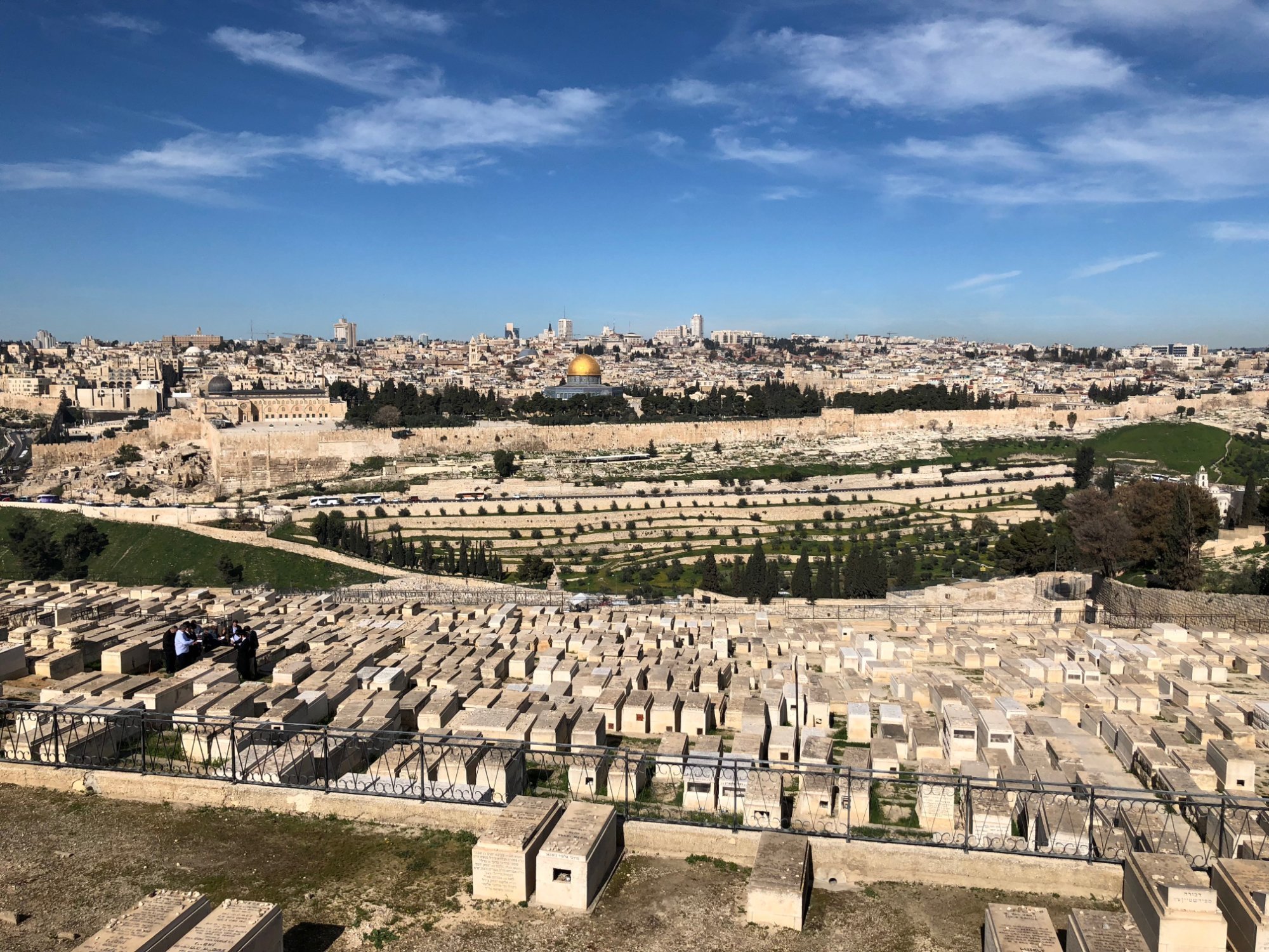 Mount Scopus National Botanical Garden (Gerusalemme) - Tripadvisor