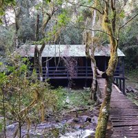 Magoebaskloof Hiking Trail - All You Need to Know BEFORE You Go (2025)