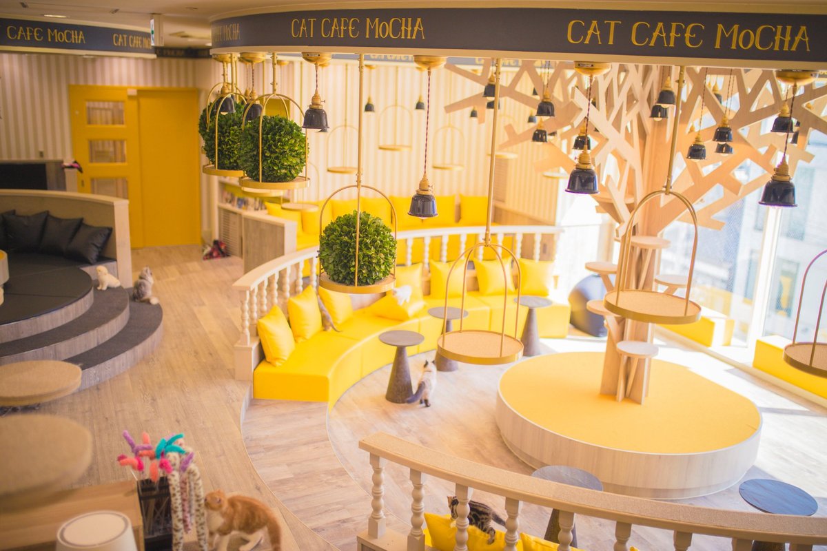 My Hello Kitty Café, ITENS PRÊMIOS