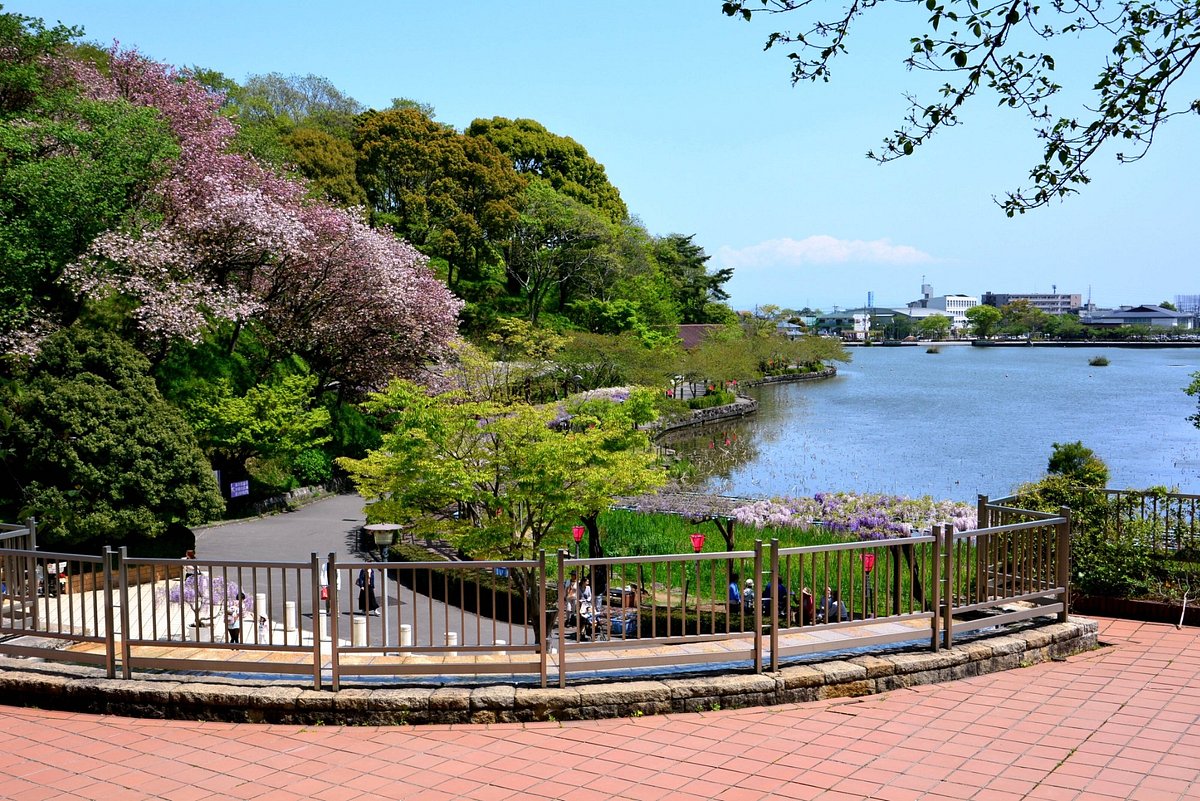 Rengejiike Park 藤枝市 旅游景点点评 Tripadvisor