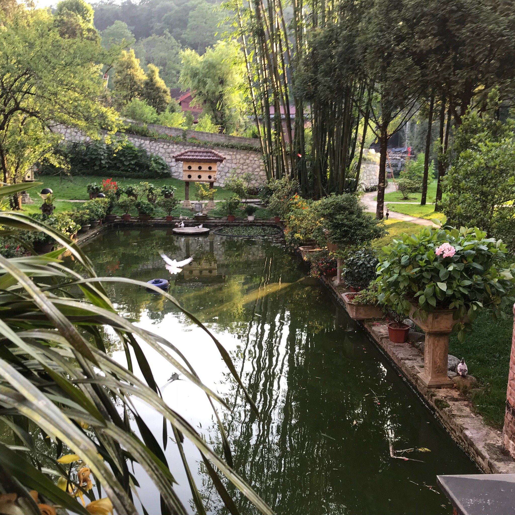 SAPA GARDEN BED AND BREAKFAST Ab 22€ (2̶8̶€̶) - Bewertungen, Fotos ...