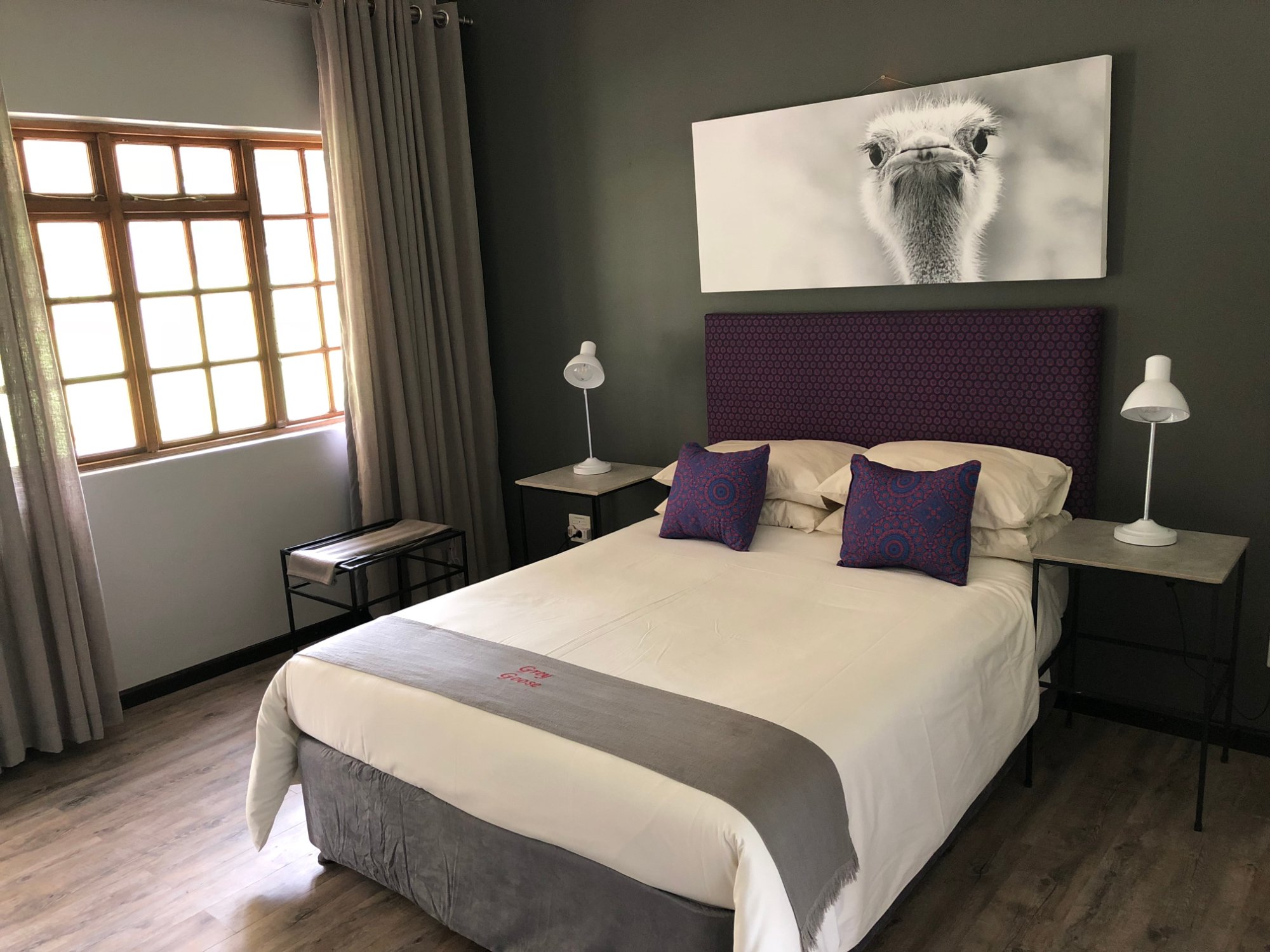 Hotel photo 11 of Grey Goose Game Lodge.