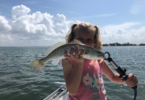 Deep Sea Fishing Fort Myers: Fishing The City Of Palms